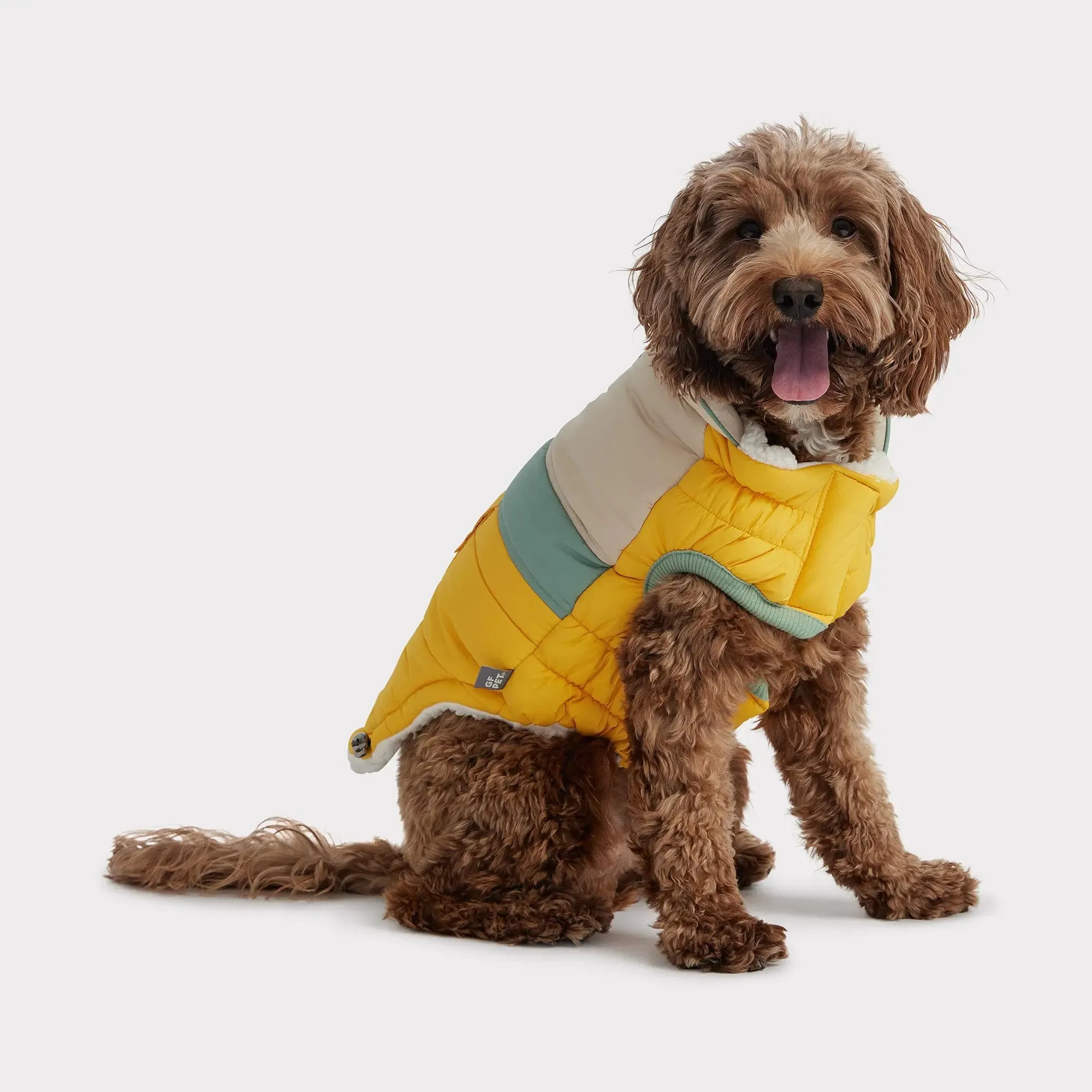 Camplife Dog Puffer | Yellow