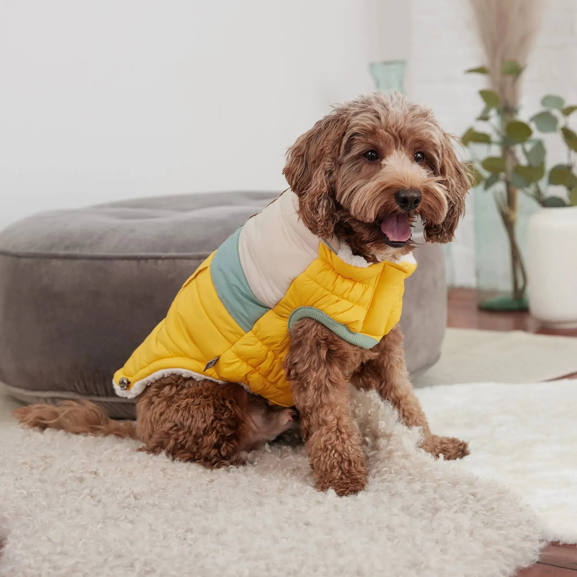 Camplife Dog Puffer | Yellow