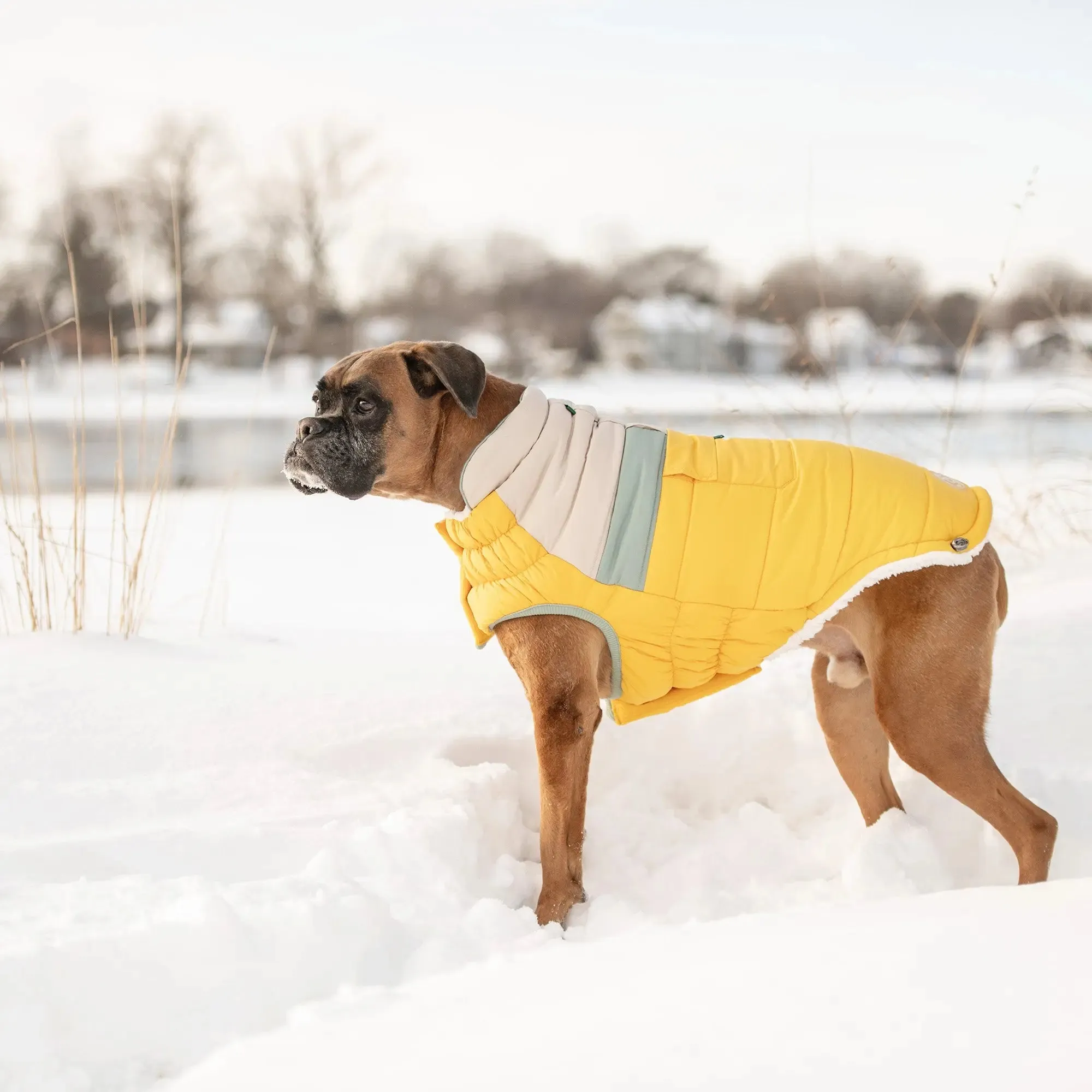 Camplife Dog Puffer | Yellow