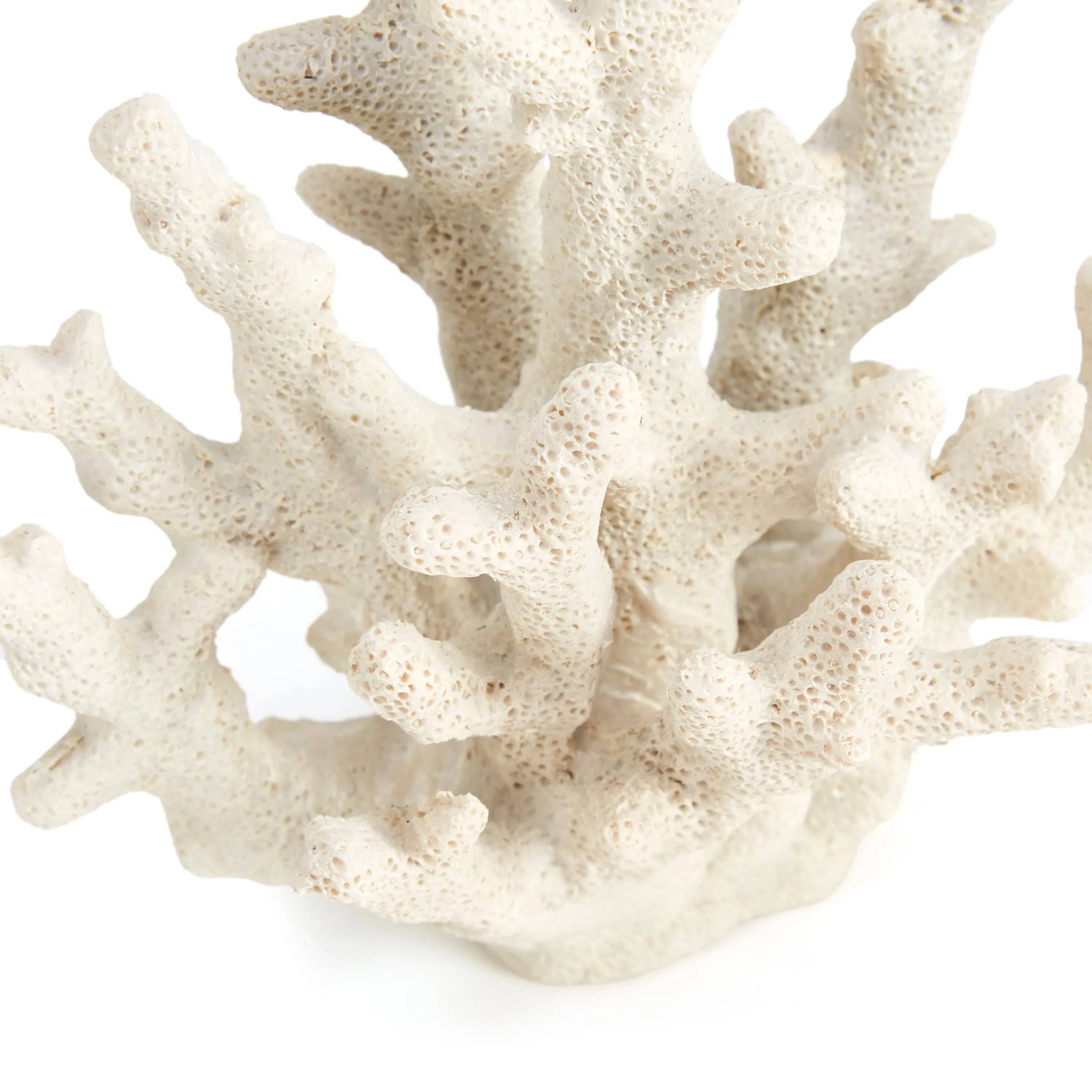 Small White Coral